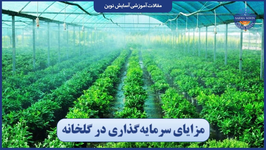 مزایای سرمایه‌گذاری در گلخانه